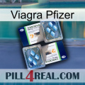 Pfizer Viagra viagra5